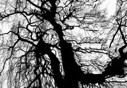 Πρόγραμμα φιλοξενίας καλλιτεχνών στο Δημ