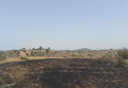 Τέθηκε υπό πλήρη έλεγχο πυρκαγιά στον Κό