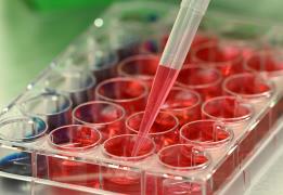 Women scientists and engineers in Cyprus