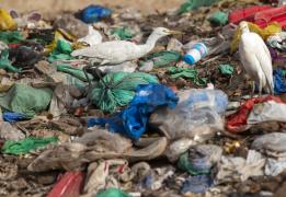 Increase in municipal waste in Cyprus in