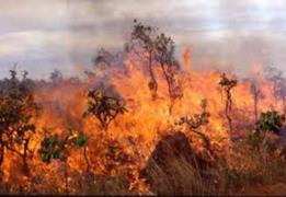 Firefighting in rural areas to be booste