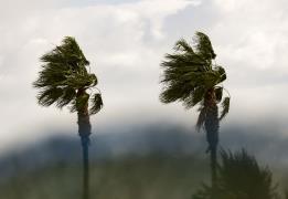 Warning for strong winds up to 7 Beaufor