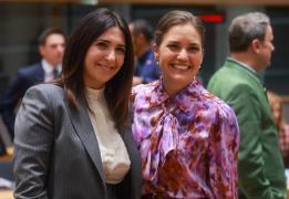 Müsteşar Raouna, Kıbrıs’ın AB Dönem Başk