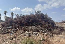 Εικόνες εγκατάλειψης στο Εθνικό Δασικό Π