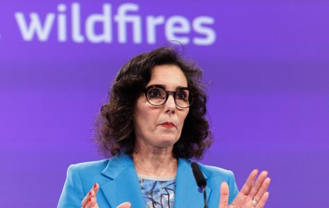 Επίσκεψη Επιτρόπου Ετοιμότητας και Διαχε