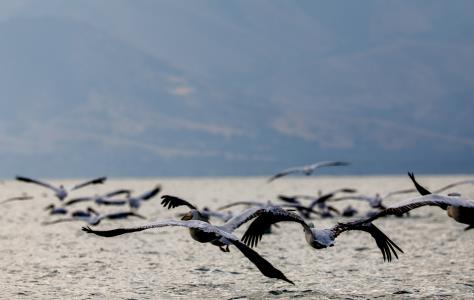 Η ΕΕ επιδιώκει επιτάχυνση της εφαρμογής 