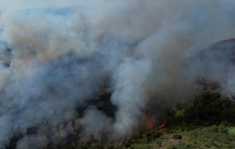 Σε εξέλιξη πυρκαγιά σε δασική έκταση στη