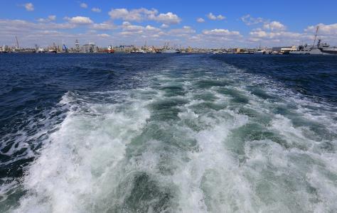 Η ευαλωτότητα της Μαύρης Θάλασσας θα καθ