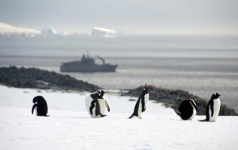 Η Ανταρκτική βρίσκεται αντιμέτωπη με ένα