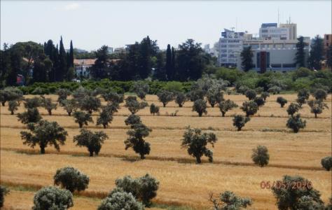 Ευρωβουλευτές ενέκριναν μέτρα για προστα
