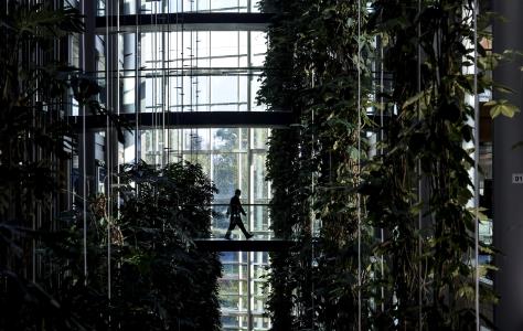 Διαφορές στη νομοθεσία και στην πρόσβαση