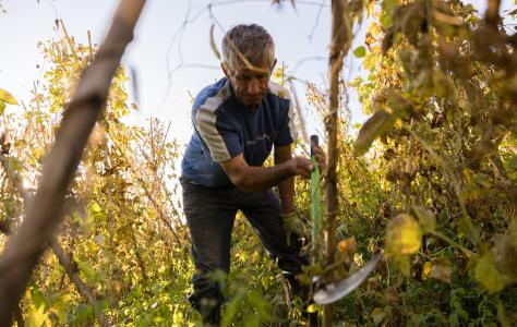 Στην Κύπρο τα υψηλότερα επίπεδα burnout 