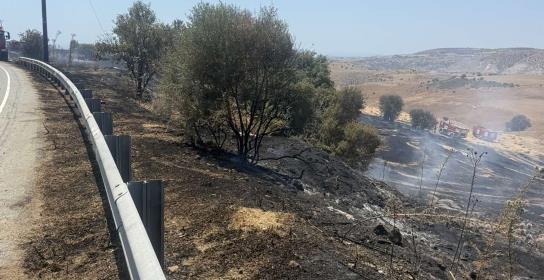 Υπό πλήρη έλεγχο δασική πυρκαγιά σε περι