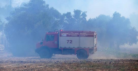 Υπό πλήρη έλεγχο η δασική πυρκαγιά στην 