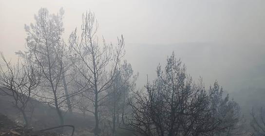 Υπό πλήρη έλεγχο δασική πυρκαγιά στα Πέρ