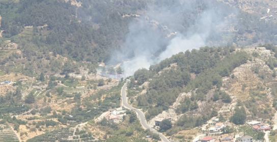 Μικρή έκταση άγριας βλάστησης έκαψε πυρκ