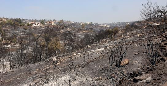Υπό έλεγχο δύο πυρκαγιές σε Δρούσεια και