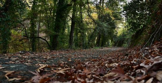 Παραμένει κλειστό για επισκέπτες το «Φαρ