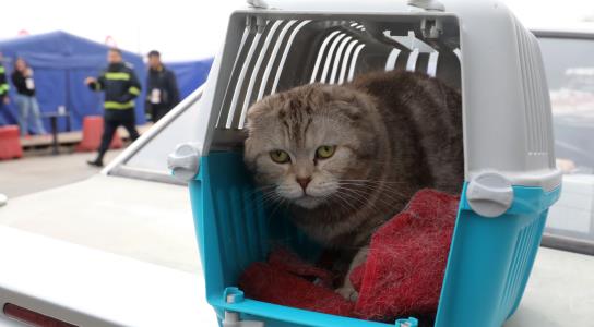 Εφαρμογή μέτρων «σε όλα τα επίπεδα» ζητά