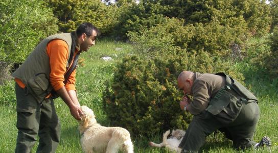Ανάγκη στενότερης συνεργασίας με Ομοσπον