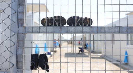 Δενδροφύτευση πραγματοποιήθηκε στο «Πουρ