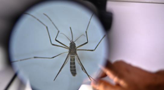 Χαμηλό επίπεδο κινδύνου για Κύπρο από ιό