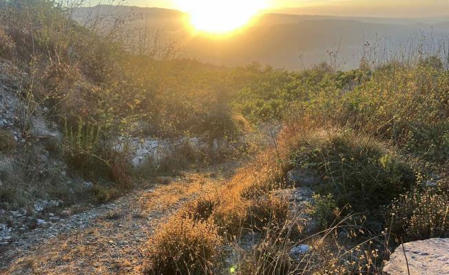 Υπό πλήρη έλεγχο πυρκαγιά στους Τρούλλου