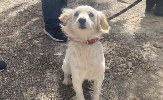 Ολομέλεια: Ψηφίστηκαν δύο τροποποιήσεις 