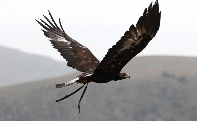 Ο πόλεμος στη Μ. Ανατολή διαταράσσει τα 