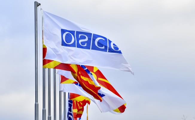 Παρεμβάσεις Κύπριων Βουλευτών στο Μεσογε