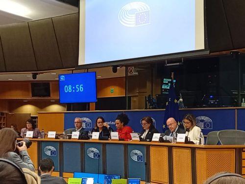 New Erasmus+ and strengthening education key priorities, Minister tells MEPs