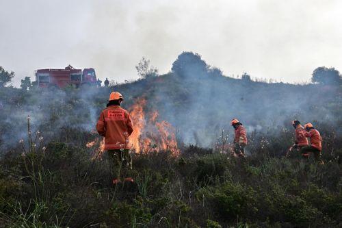 Εφαρμογή ελεγχόμενης καύσης στις παρυφές του Δάσους Μαχαιρά [ΒΙΝΤΕΟ]