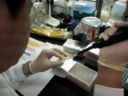 Σκόνες πρωτεΐνης με υψηλά επίπεδα μολύβδου εντοπίστηκαν μετά από έρευνα στις ΗΠΑ