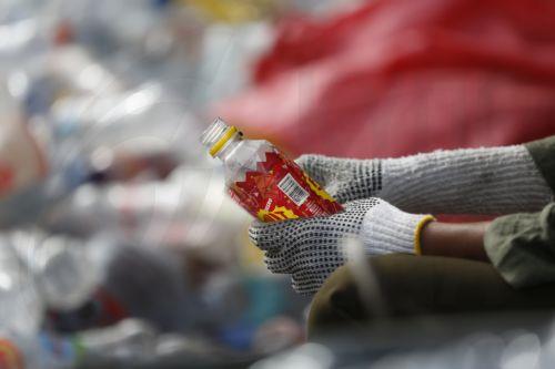 Πρόγραμμα επιμόρφωσης για κυκλική οικονομία-ευημερία ζώων παρουσίασε ο Δήμος Στροβόλου