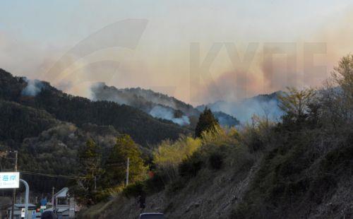 Η λεγόμενη περιαστική ζώνη με πληθυσμούς κοντά σε δάση είναι ωρολογιακή βόμβα για κατάσβεση πυρκαγιών