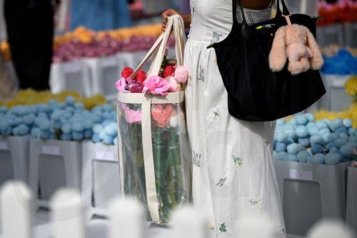 CJ Hendry showcases large‑scale Flower Market exhibition in Sydney