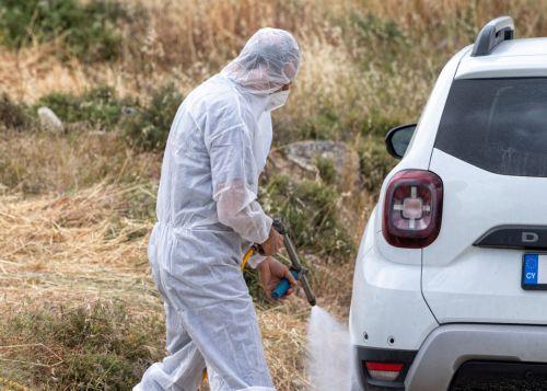 Pachna’da yeni şap hastalığı vakası: Veteriner Dairesi yayılımı durdurmak için zamanla yarışıyor