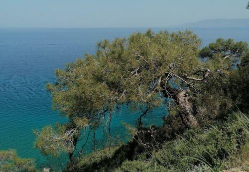 Kıbrıs, Natura 2000 ve Biyoçeşitlilik Günü’nü Akamas’a adanan etkinlikle kutluyor