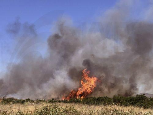 Υπό πλήρη έλεγχο η πυρκαγιά στην Παρεκκλησιά, διερευνώνται τα αίτια