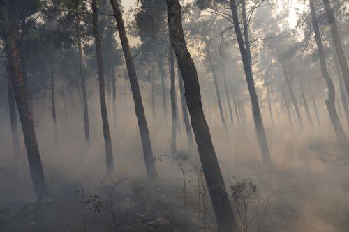 Συνεχίζεται η μάχη με τις φλόγες στη Γαλλία, βελτίωση σε Ισπανία και Πορτογαλία