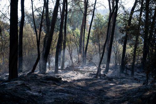 Ολοκληρώνεται η κυπριακή αποστολή αεροπυρόσβεσης στη Γαλλία, λέει στο ΚΥΠΕ ο Ν. Λογγίνος