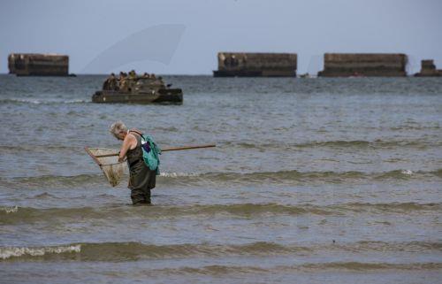 Kατακλύζονται οι ισπανικές ακτές από επικίνδυνο θαλάσσιο είδος εξαιτίας κλιματικής κρίσης