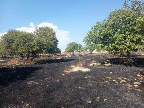 Υπό πλήρη έλεγχο δασική πυρκαγιά σε περιοχή της κοινότητας Αναρίτας