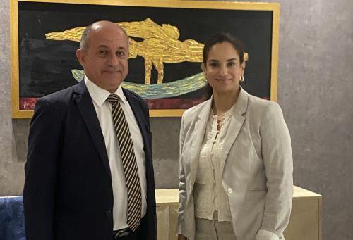 Head of House Foreign Affairs Committee meets France, Kazakhstan ambassadors, Swedish Missions Deputy Head