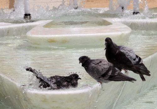 Yellow warning issued as temperatures set to hit 40°C on Wednesday