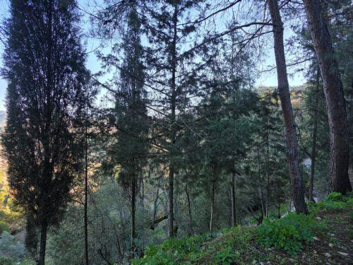 Ευκαιρία για κοιλάδες Ξερού και Διαρίζου η ένταξη στο δίκτυο UNESCO, σύμφωνα με περιβαλλοντικό όμιλο