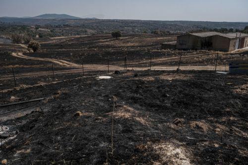 Σχεδόν δεν έχουν απομείνει φλόγες στην περιοχή της Μαδρίτης