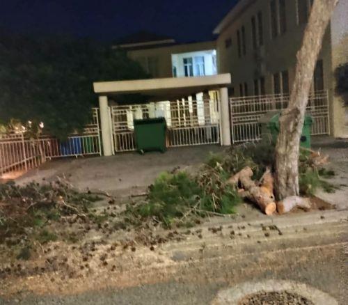 Δ. Πάφου: Καθαρίστηκε η οδός 1ης Απριλίου από τα επικίνδυνα κλαδέματα