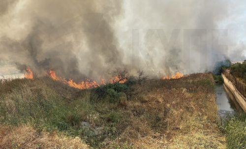 Μαίνονται τα πύρινα μέτωπα σε Βοιωτία, Πόρτο Γερμενό και Αίγιο