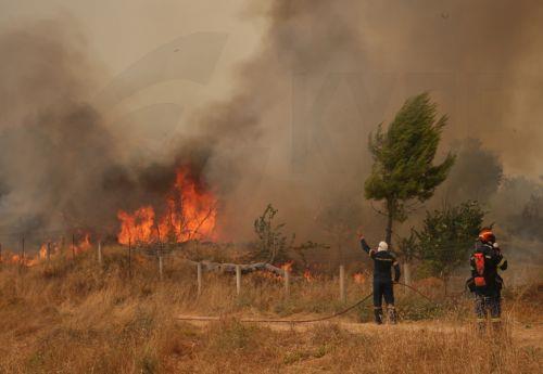 Μάχη με τις φλόγες στη Δυτική Αττική, επί ποδός το βράδυ οι πυροσβεστικές δυνάμεις